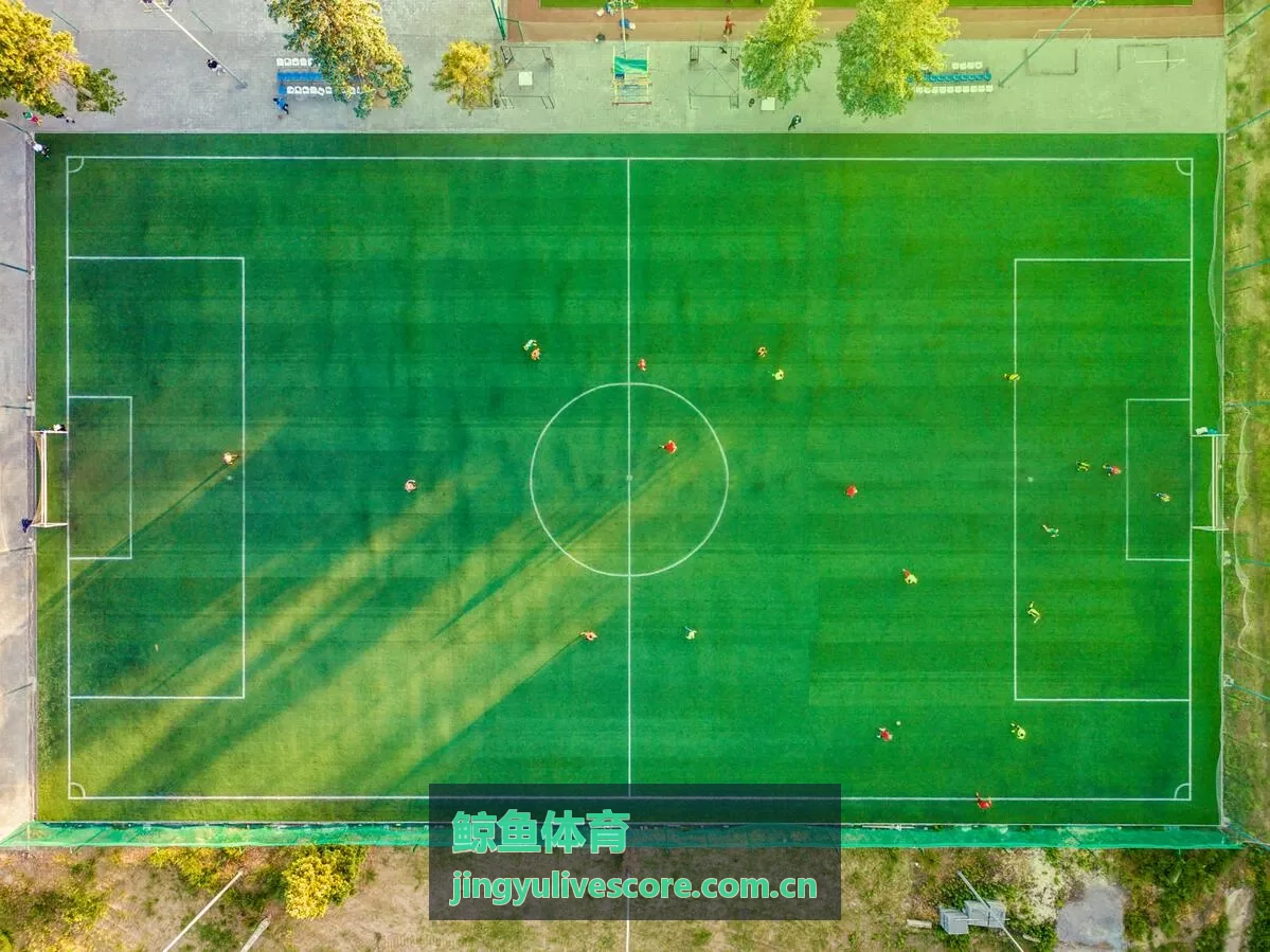鲸鱼体育电竞战报BP阶段阵容数据对比图